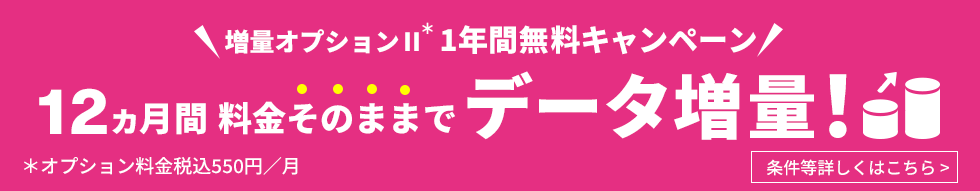 増量オプションII 1年間無料キャンペーン 12ヵ月間料金そのままでデータ増量！ ※オプション料金550円（税込）／月 条件等詳しくはこちら