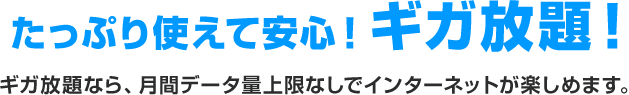 たっぷり使えて安心！ギガ放題！ ギガ放題なら、月間データ量上限なしでインターネットが楽しめます。